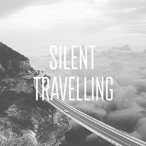 Silent Travelling (Niteroy Remix)