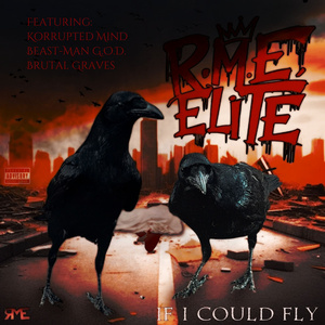 If I Could Fly