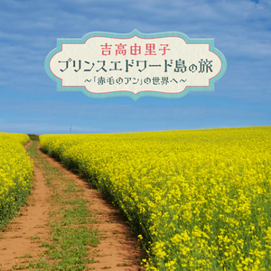 Si Bheag - 小さな妖精の丘