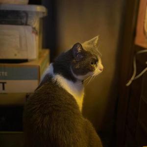 其实我想对你说