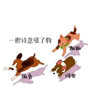 一腔诗意喂了狗