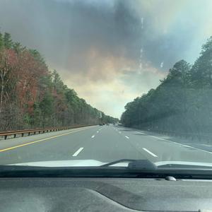 Grew Up In The Pines