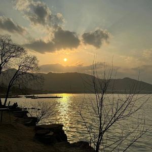 不想 (烟嗓男版)