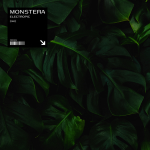 Monstera