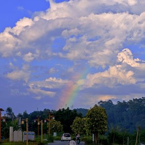 滥情：缺爱者的求救