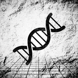 D/N/A【MARETU STYLE】