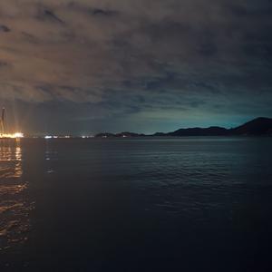 南山野花开满坡（热搜版）