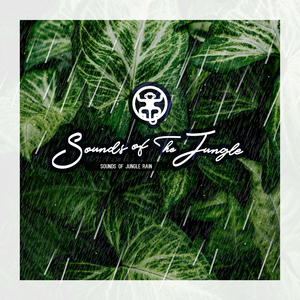Sounds Of Jungle Rain