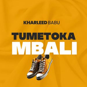 TUMETOKA MBALI