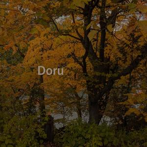 Doru