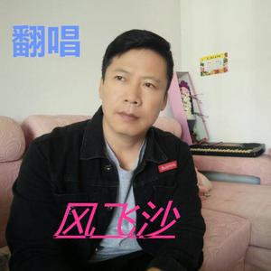 风飞沙
