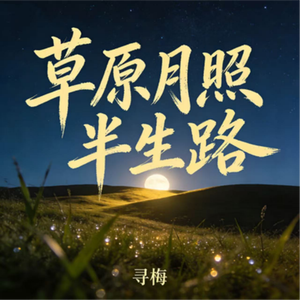 草原月照半生路
