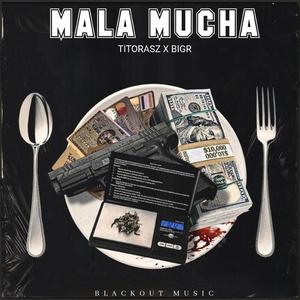 Malamucha (feat. BigR)