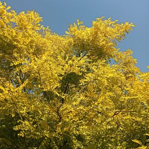 回不去的家乡（纯音乐）