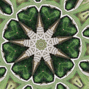 Vivacité retrouvée