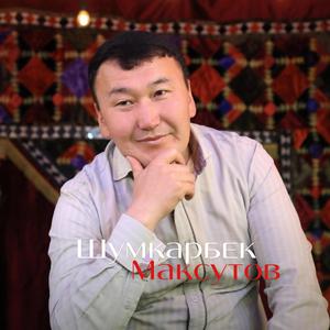 Менин досум