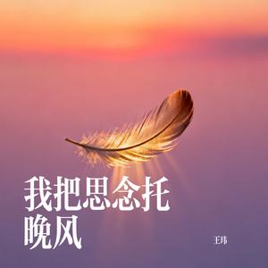 我把思念托晚风