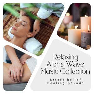 自律神経BGM-癒やしのアンビエント-