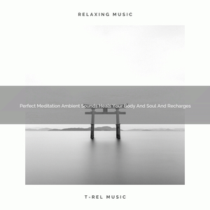 Perfect Meditation Music Heals Your Mind