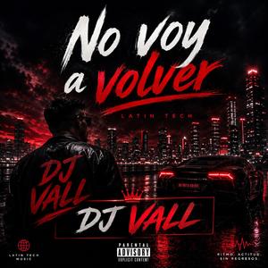 No voy a volver