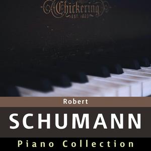 Kinderszenen No.13 in G major, Op.15