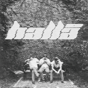 HALLÅ (finns det någon här som hör mig?)