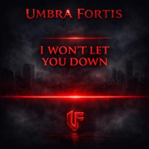 I Won't Let You Down