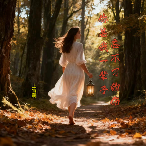 你是我一辈子忘不了的伤