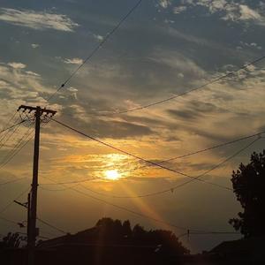 想你时风起（Cover：单依纯）