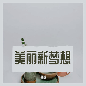 美丽新梦想