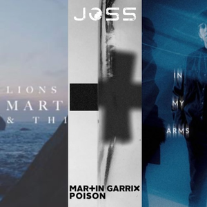 Martin Garrix X Third Party X ILLENIUM - Lions In The Wild x In My Arms x Poison (JOSS Flip)