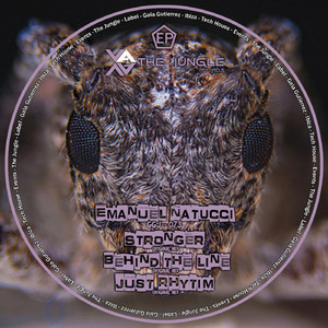 Just Rhytim (Original Mix)