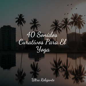 Mirando Hacia El Cielo