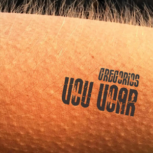 Vou Voar