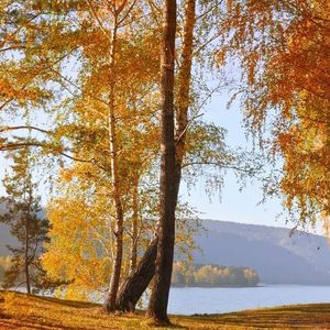 山溪