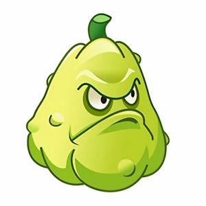 The King (植物大战僵尸)