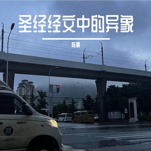 圣经经文中的异象