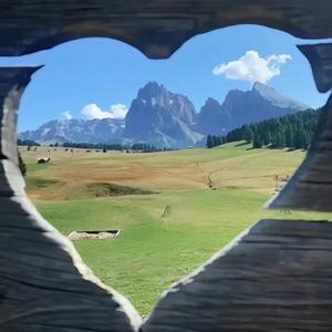 被我推开的人啊