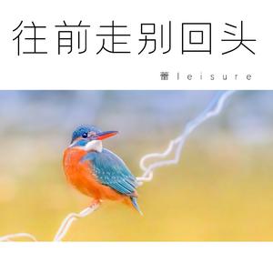 往前走别回头