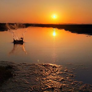 ayalgv singesen nvtvg min