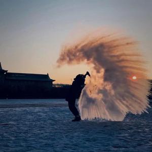 送你一朵山茶花