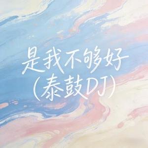 是我不够好（泰鼓DJ）