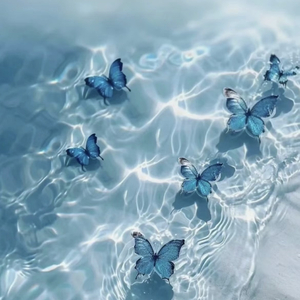 我们不会是陆展博与林宛瑜