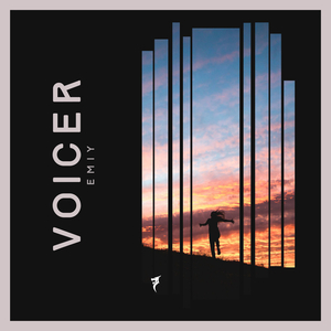 Voicer (Extended Mix)