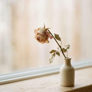 รักเธอมันเหนื่อยแล้ว