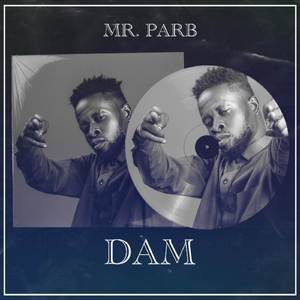 Dam