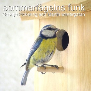 Sommarfågelns funk