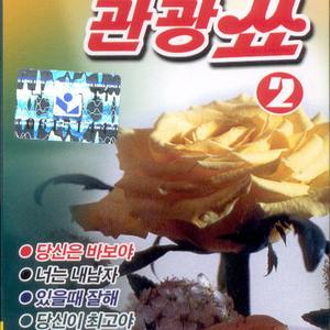 당신은 바보야/있을때 잘해/야간열차/꽃보다 아름다운 너/당신이 최고야/정하나 준것이/십팔세 순이/장미꽃 한송이/너는 내남자/고로해서