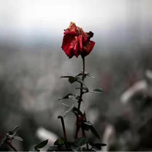 梦游记(Prod by NeonMusic)