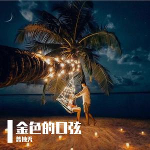 金古阿嘎-金色的口弦（普独秀 remix）